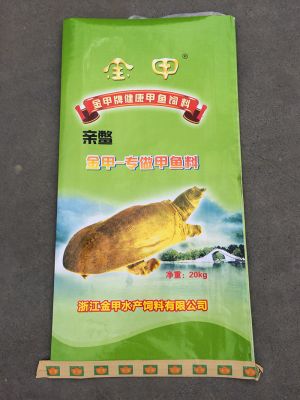 Jinjia parent turtle (front)