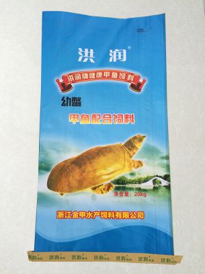 Hongrun young turtle (front)